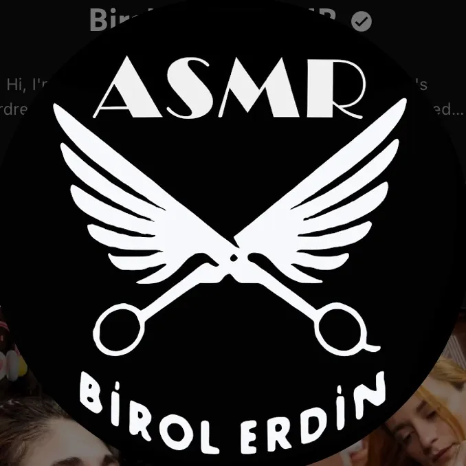 Birol Erdin