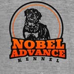 𝕂𝕖𝕟𝕟𝕖𝕝ℕ𝕠𝕓𝕖𝕝𝔸𝕕𝕧𝕒𝕟𝕔𝕖