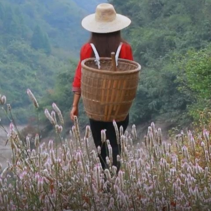 湘西小农女