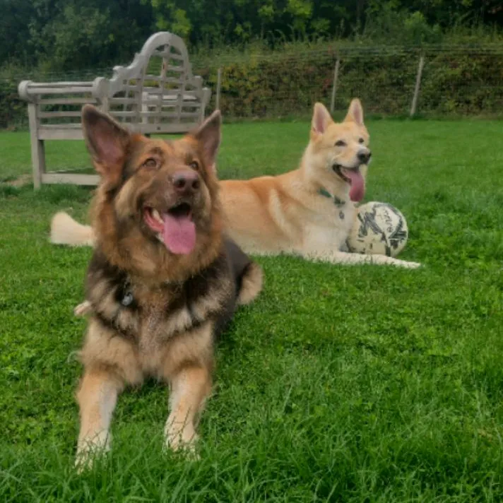 Storm and Willow