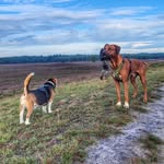 RR Aza and cat sis Mowgli, daily adventures.