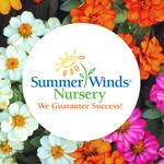 SummerWinds Nursery California