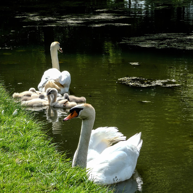 Beauty of nature 