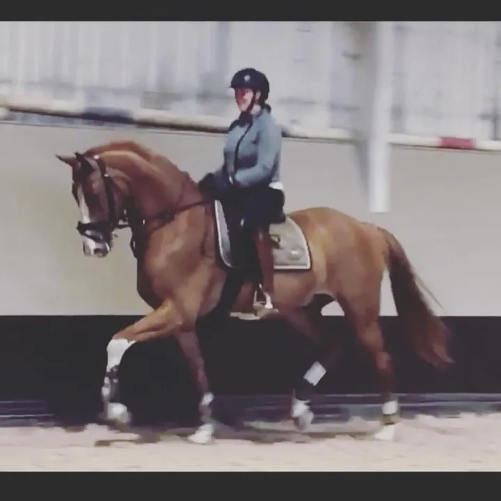 Vivian Pedersen Nils