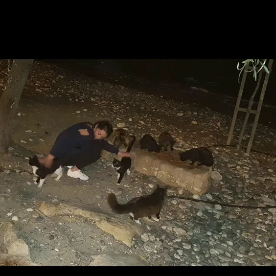 Καrοlíηα