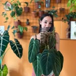 🌿Silven