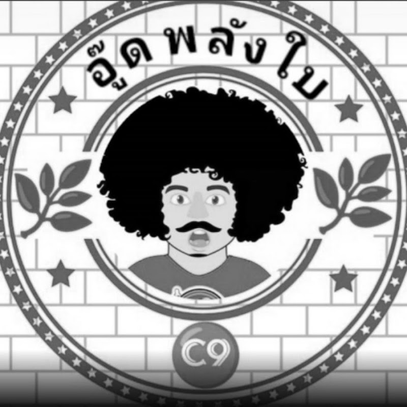 ปลัดอู๊ดพลังใบ