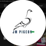 Jm_pigeon_loft