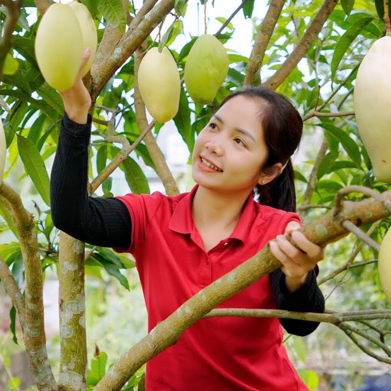 Binh Daily life