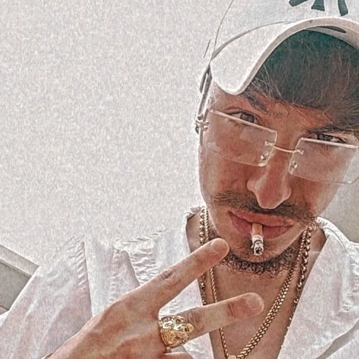 ...U...ZINGARIELL...420