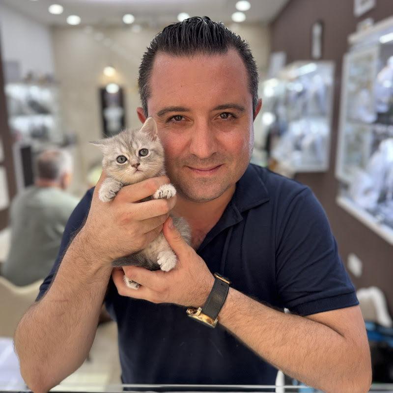 Antalya Side Livestream