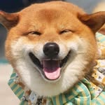 𝚁𝚞𝚏𝚞𝚜👑廁紙🧻