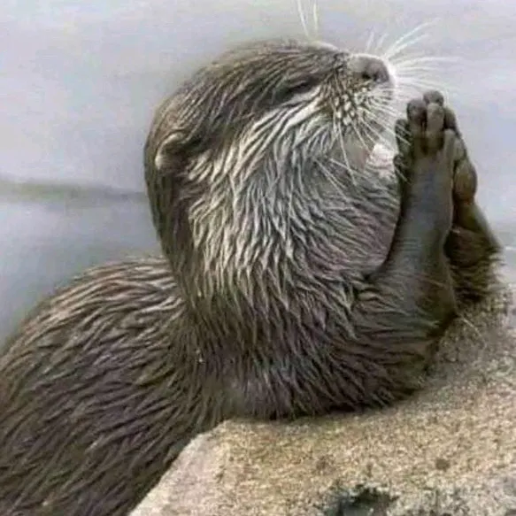 Nalongo Birungi Crypto Aurora