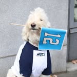 Jovita & Luca | Dog Mom Life