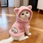 Sweet Meaws