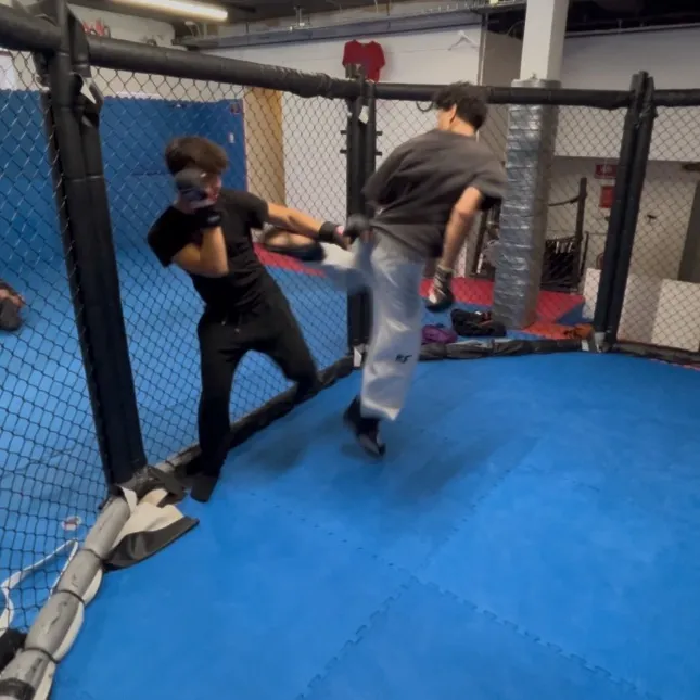 𝙰𝚠𝚊𝚍 𝚂𝚑𝚘𝚔𝚒𝚎𝚛