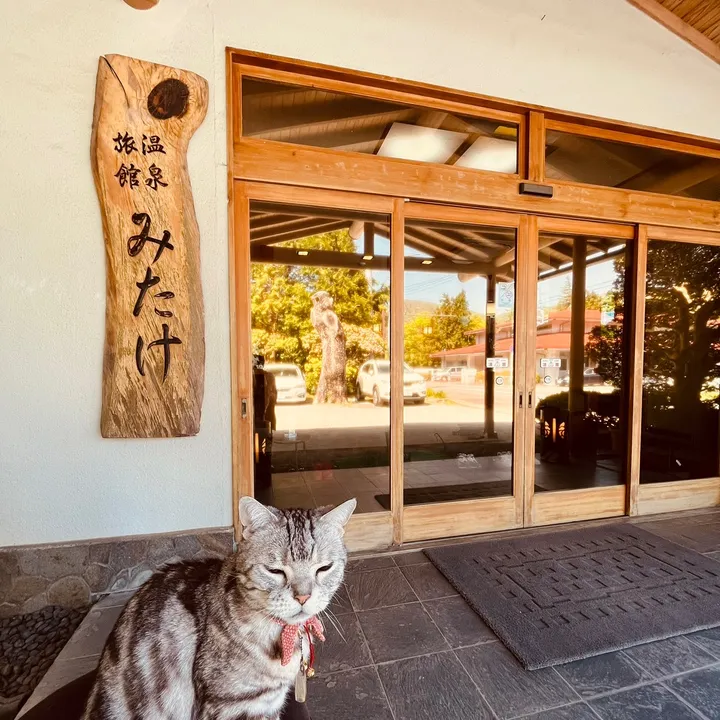 箱根　温泉旅館みたけ【公式】