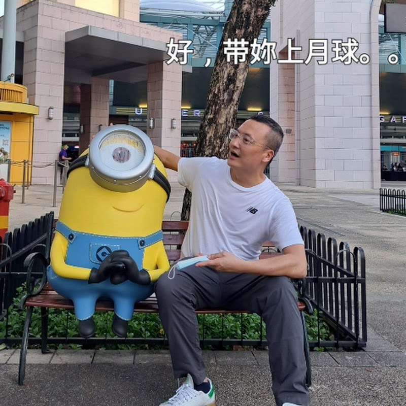dailyvlog@willywilly