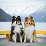 ↠ Zelda & Wera ↞