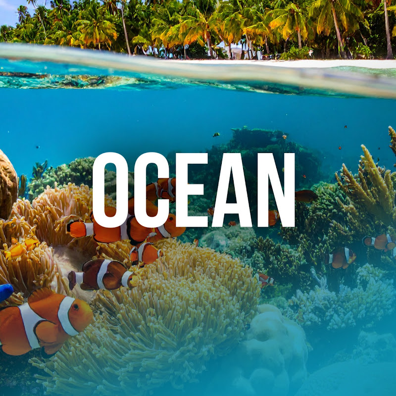 Free Documentary - Ocean