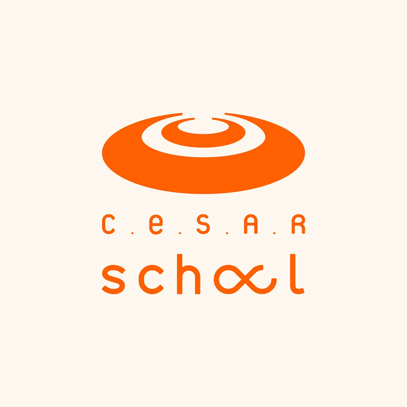 CESAR School