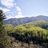 dashanshenghuoriji