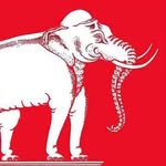 Elephantstay