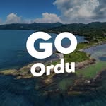 Go Ordu