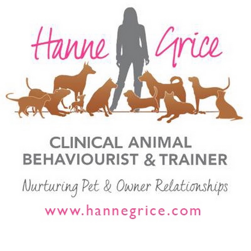 Hanne Grice Pet Training & Behaviour