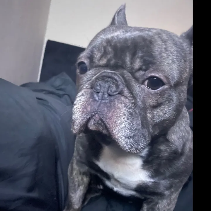 Elliot