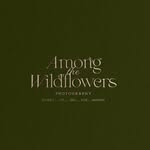 Among the wildflowers | Kitchener Waterloo Photographer