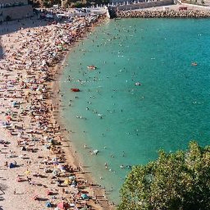 Om omar adam 🇳🇱 Amsterdam 