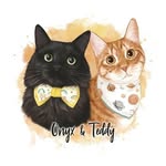Onyx and Teddy