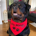 🇸🇪 SUNE MANGS 🇸🇪