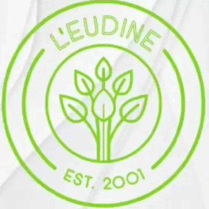 leudine_ec_oficial