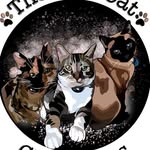 Jeannette | Little, Lola, & Leeloo 🐾