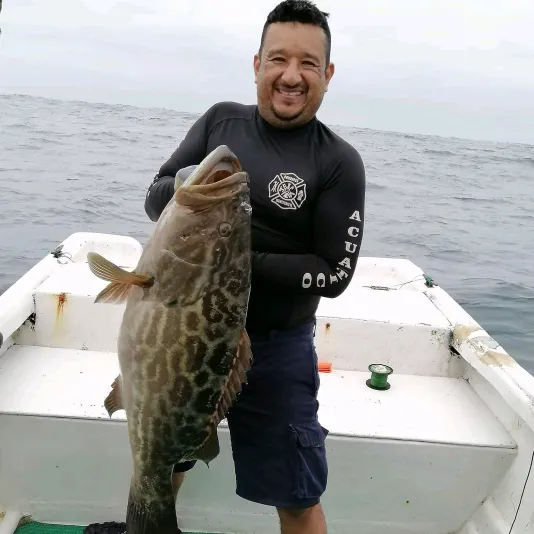 Compañeros de la pesca
