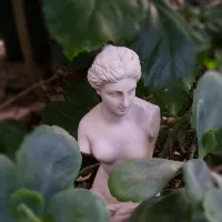 Pan Euexia