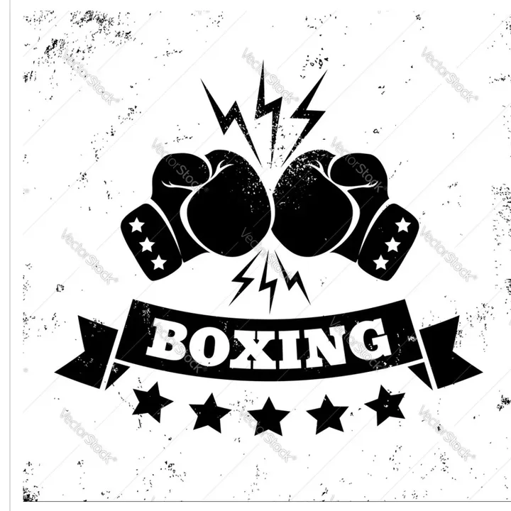 The Boxing hub