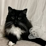 Sooty! Living the dream