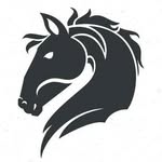 Financial Horse