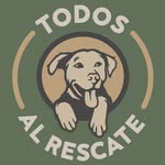 Todos al rescate | Rescate de perritos | Adopciones