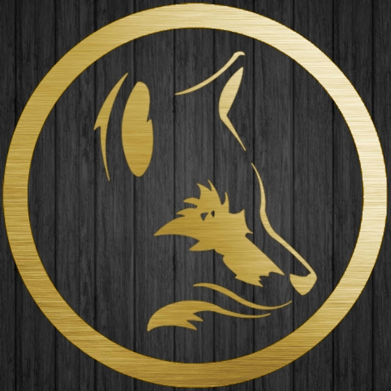 Fox X Musik