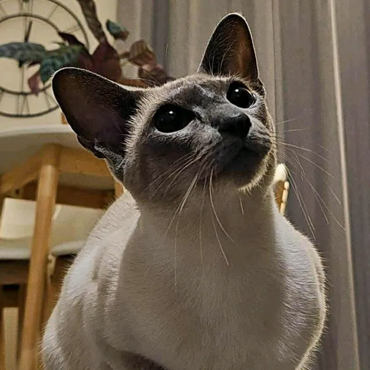 Butzkah