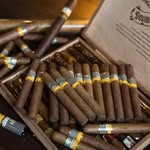 Bar&Cafe 7C【バー アンド カフェ セブンシー】　山縣