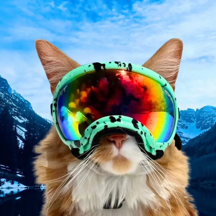 Adventure Cat Liebchen