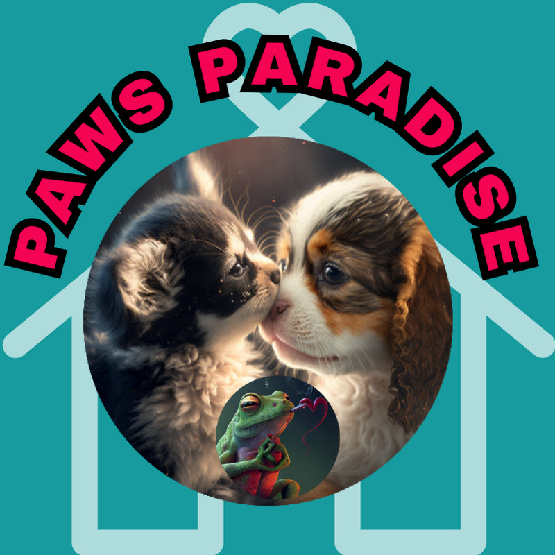 Paws Paradise