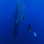 Sumbawa Adventour