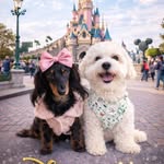 TOBY, WINNIE & MINNIE