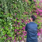 Plantwithmomin | Gardening & Homedecor